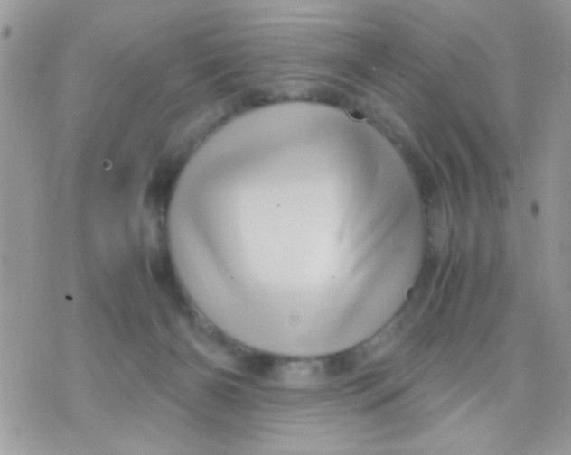 X0000070410126200606302046