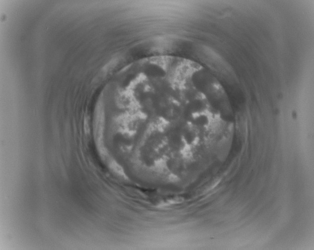 X0000070410127200606302046