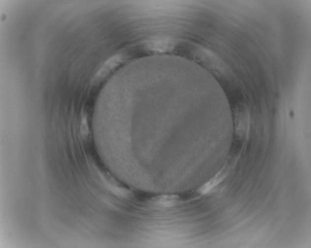 X0000070410128200606302046