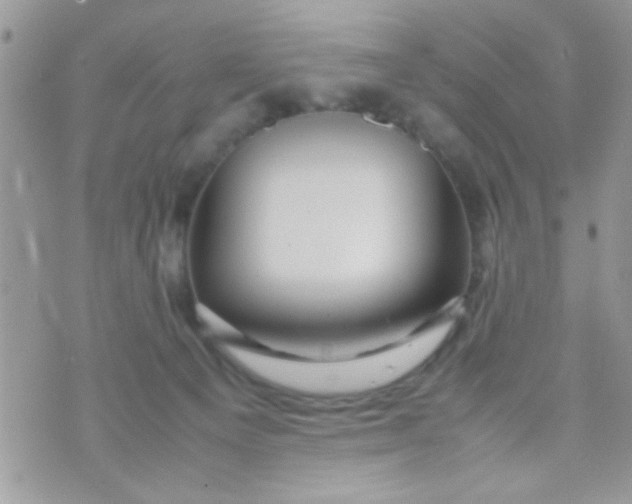 X0000070410129200606302046