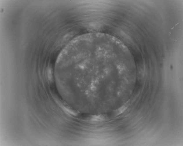 X0000070410130200606302046