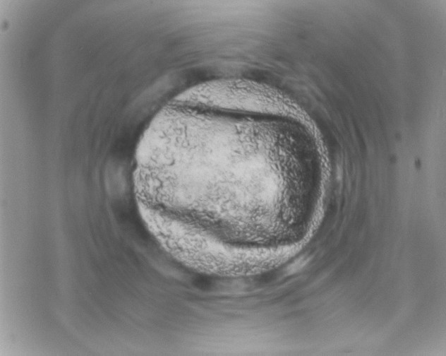 X0000070410131200606302046