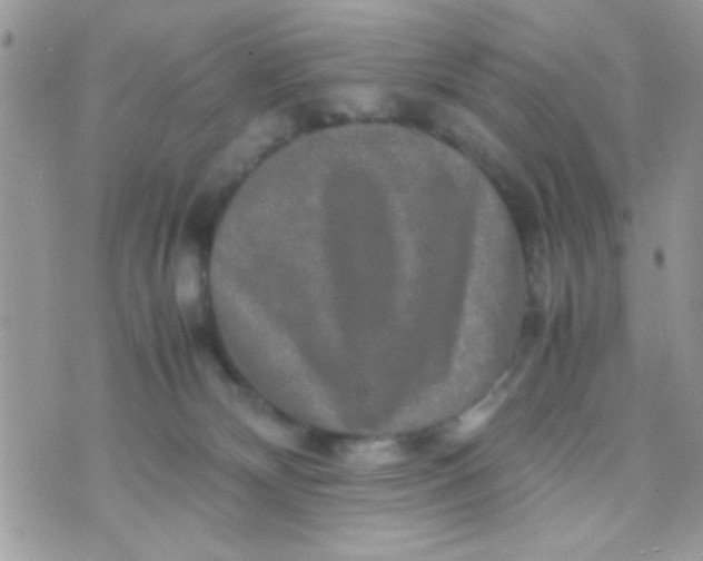 X0000070410132200606302046