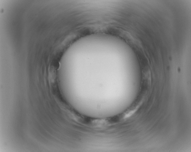 X0000070410133200606302046