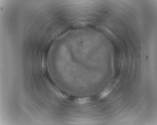 X0000070410134200606302046