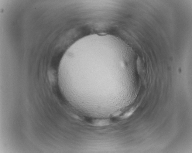 X0000070410135200606302046