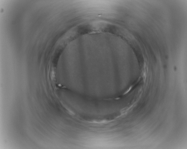 X0000070410137200606302046