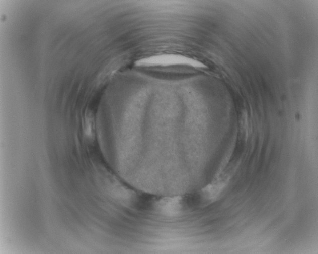 X0000070410138200606302046