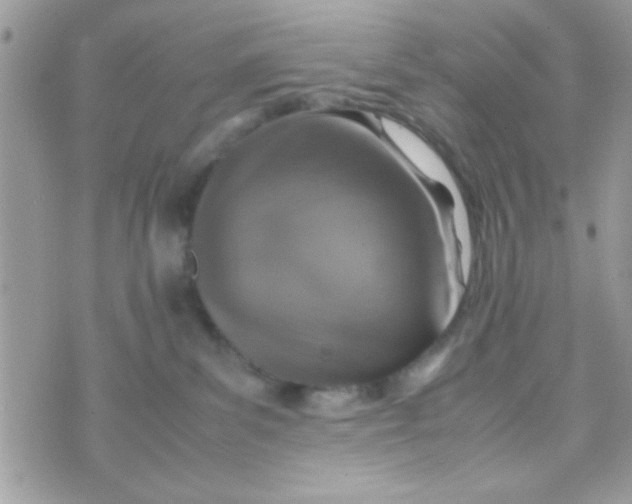 X0000070410139200606302045