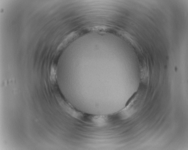 X0000070410142200606302045