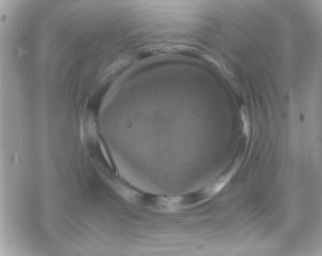 X0000070410143200606302045