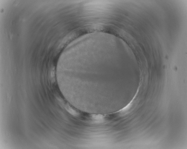 X0000070410144200606302045