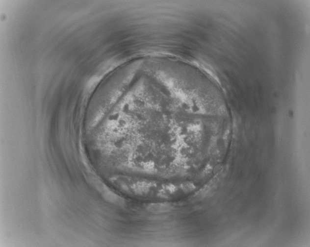 X0000070410145200606302045