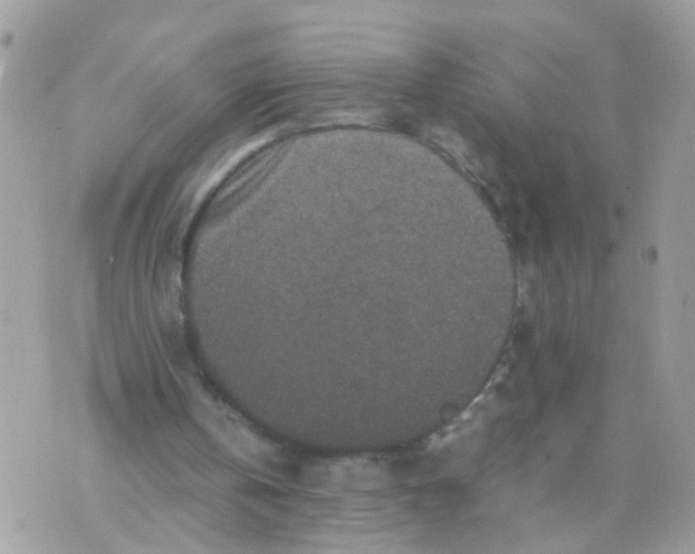 X0000070410146200606302045