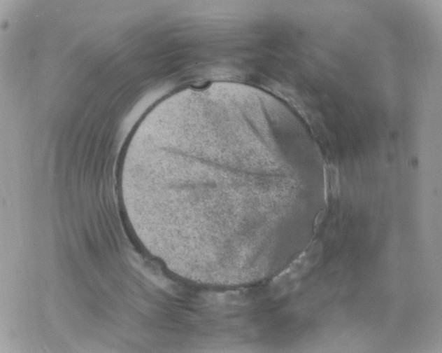 X0000070410147200606302045