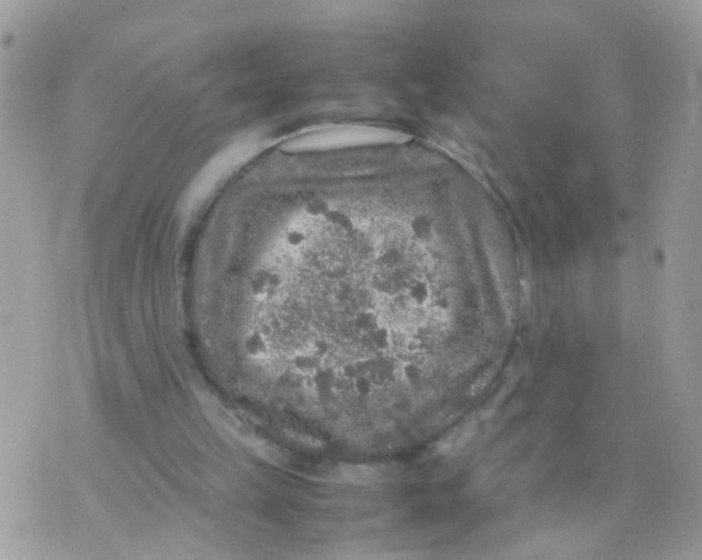 X0000070410149200606302045