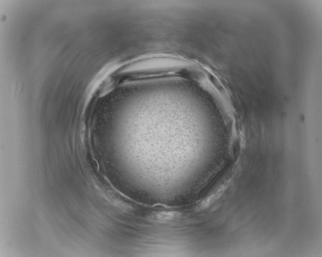 X0000070410152200606302045