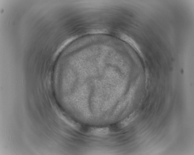 X0000070410155200606302045