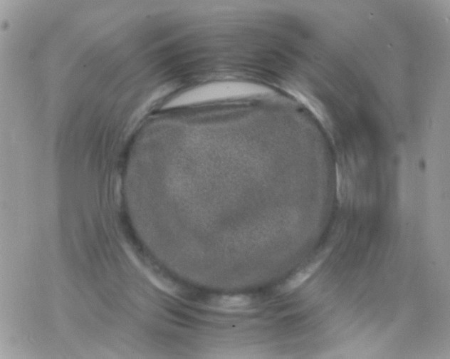 X0000070410157200606302045