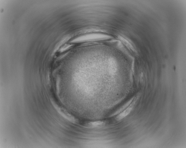 X0000070410158200606302045