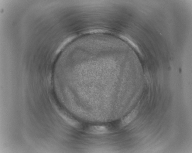 X0000070410159200606302045