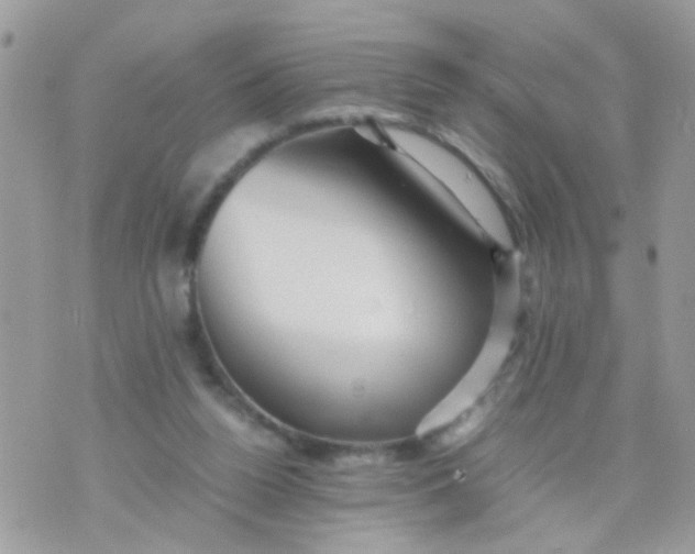 X0000070410160200606302045