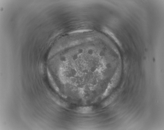 X0000070410161200606302045