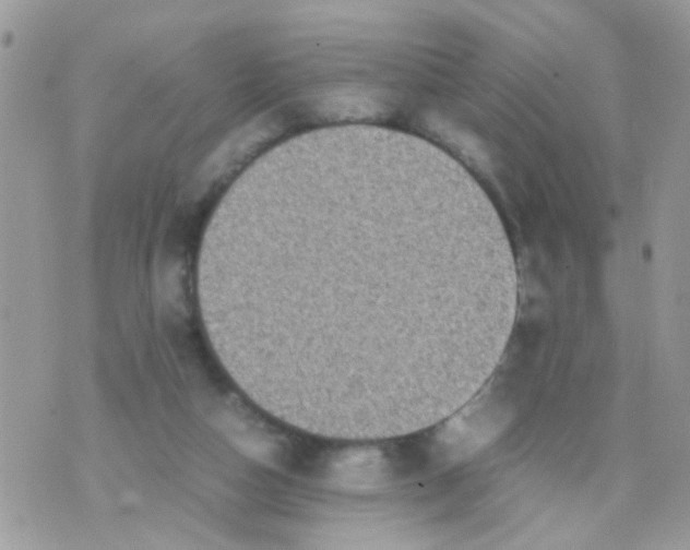 X0000070410162200606302045