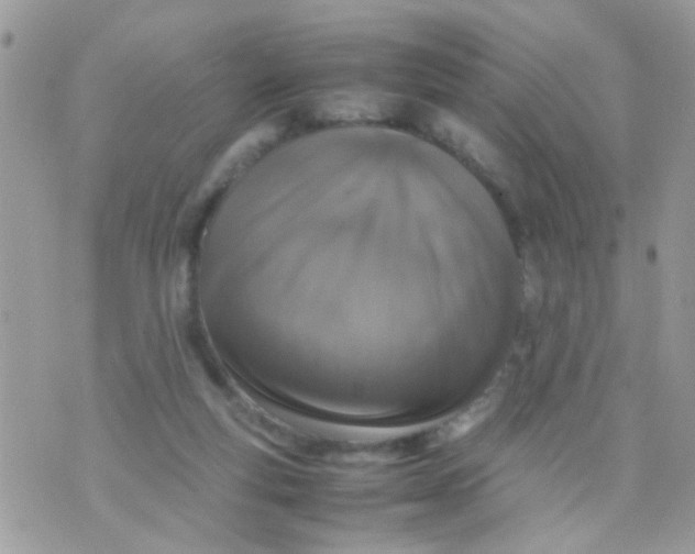 X0000070410163200606302045