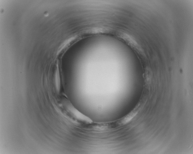 X0000070410164200606302045