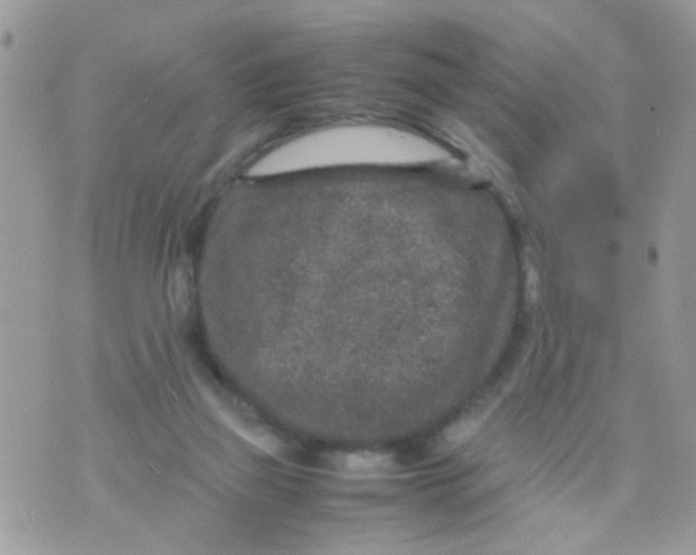 X0000070410165200606302045