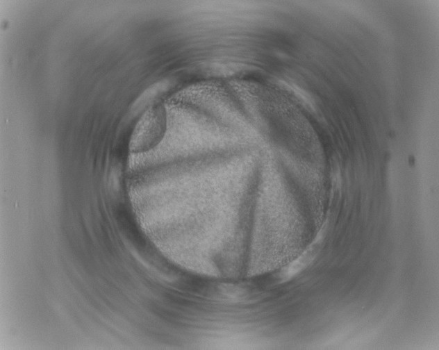 X0000070410166200606302045