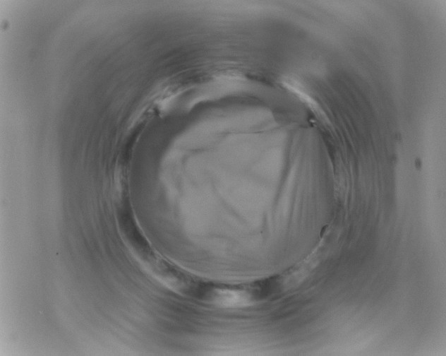 X0000070410167200606302045