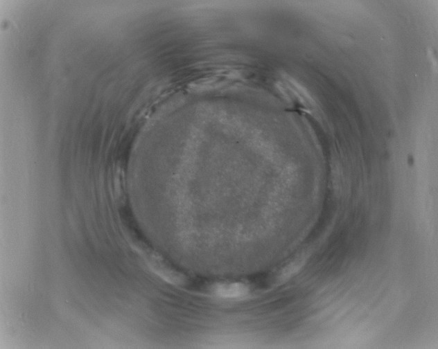 X0000070410169200606302045