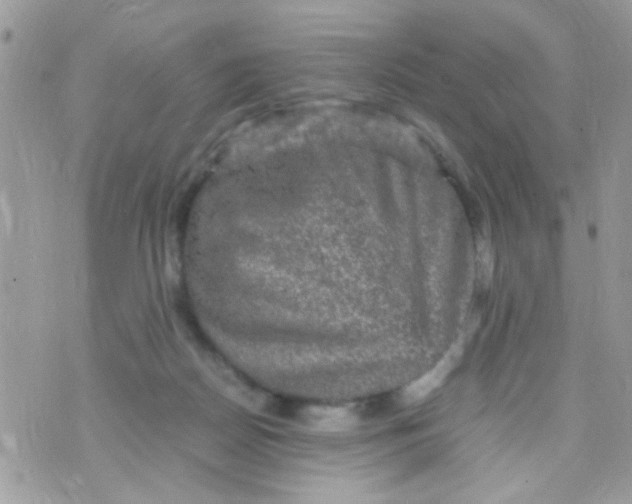 X0000070410170200606302045