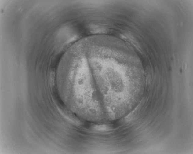 X0000070410171200606302045