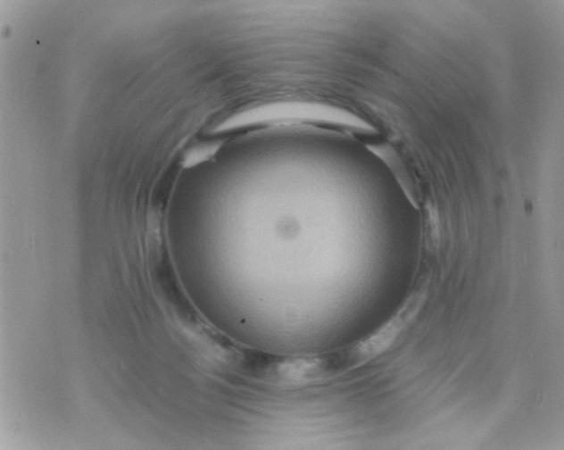 X0000070410172200606302045