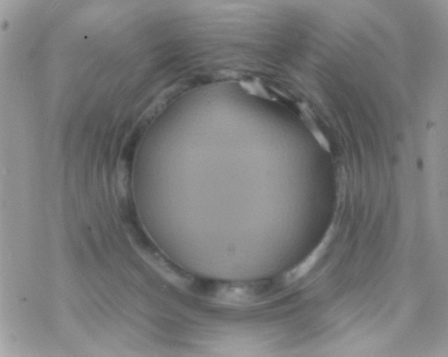 X0000070410174200606302045