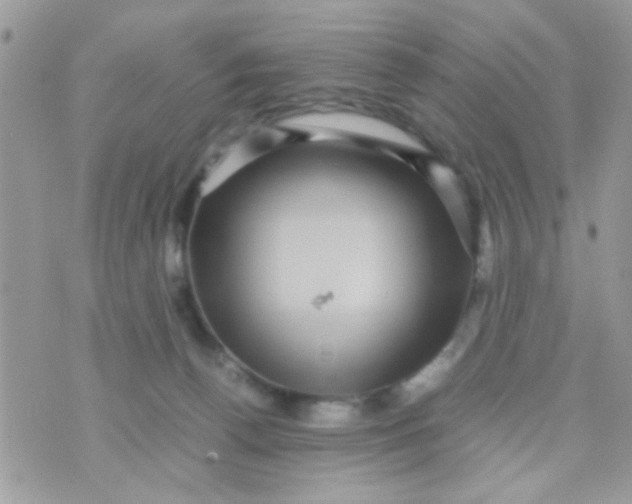 X0000070410176200606302045