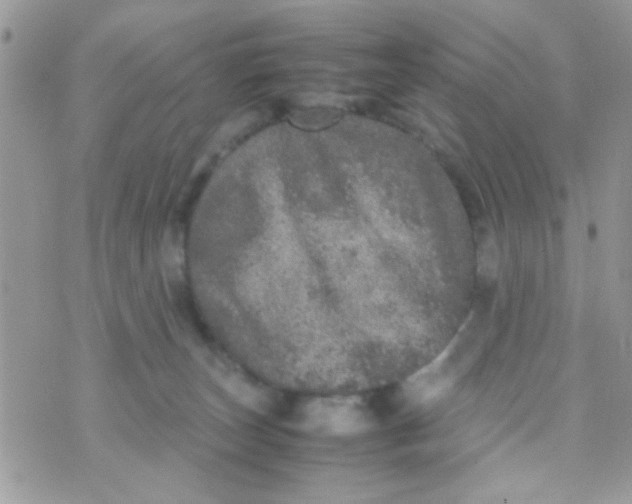 X0000070410179200606302045