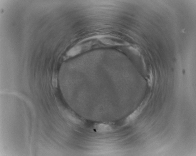 X0000070410180200606302045