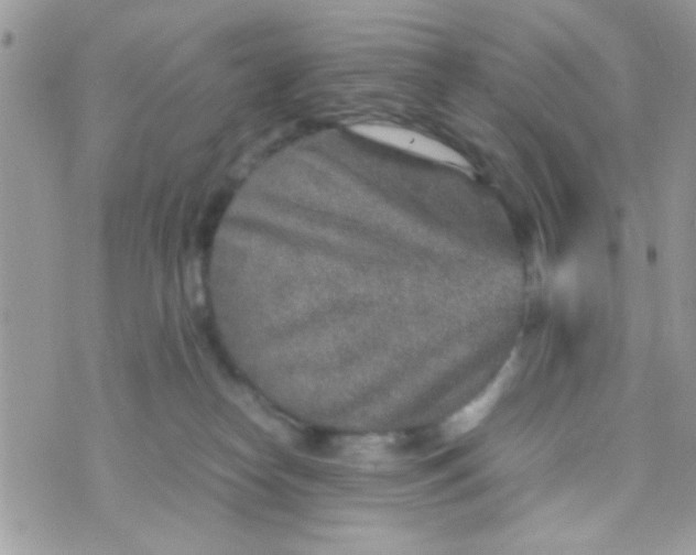 X0000070410182200606302045