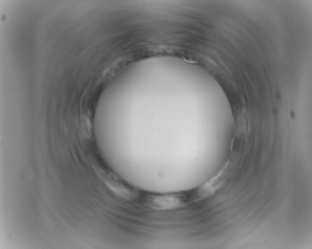 X0000070410183200606302045