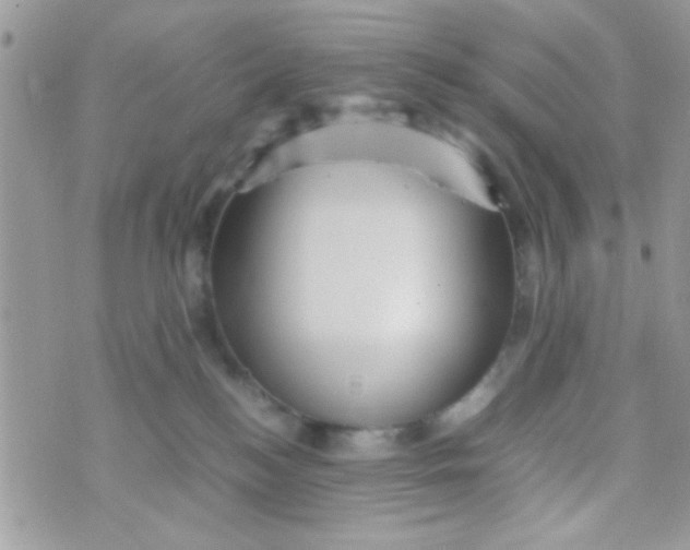 X0000070410184200606302045