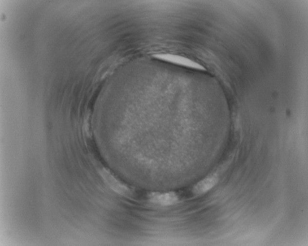 X0000070410185200606302045