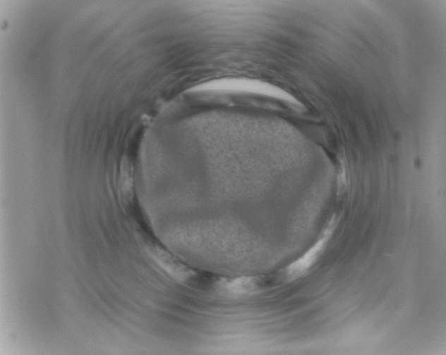 X0000070410186200606302045