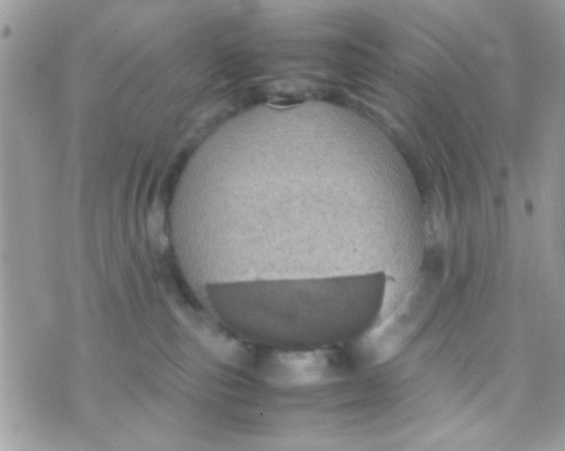 X0000070410187200606302045