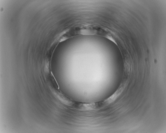 X0000070410188200606302045