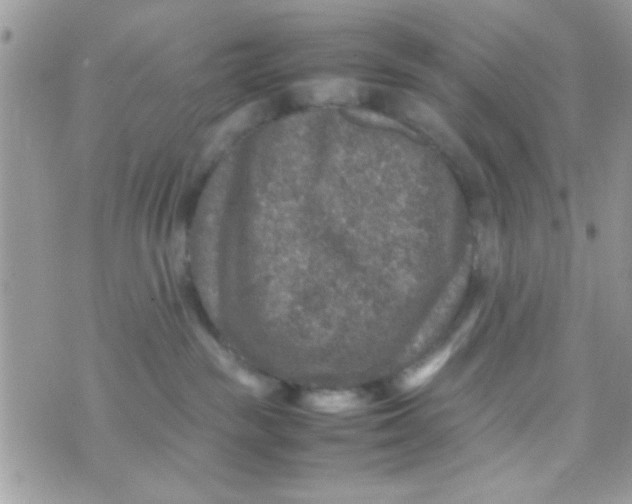 X0000070410189200606302045