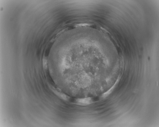 X0000070410191200606302045